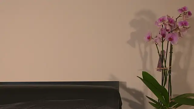 AbrilColls  online show from March 2026 12:16:01 AM