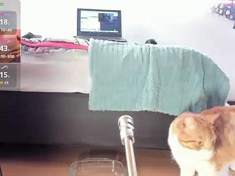 Snapshot of __Aragon__ chatting on November 2025 02:38:01 PM Aragon online show from November 2025 02:38:01 PM