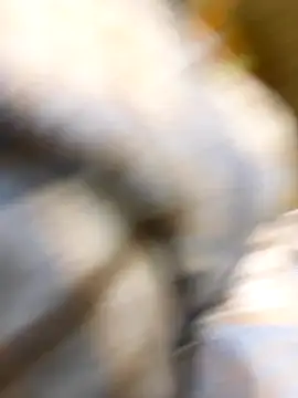  xiaoniaojiang online show from October 2025 10:37:02 AM