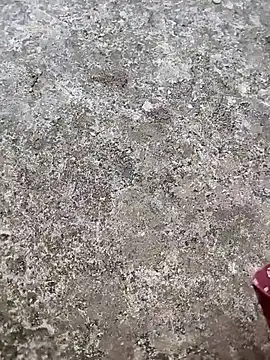 Snapshot of play_boy-raj007 chatting on November 2025 10:17:01 AM play boy-raj007 online show from November 2025 10:17:01 AM