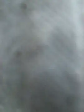 Hottypriya69 online show from November 2025 02:41:01 PM