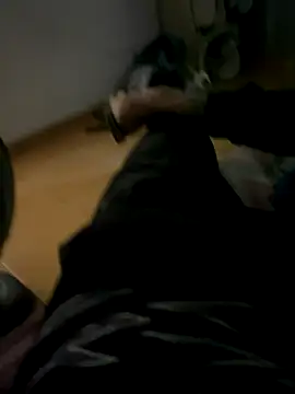 Gomes177 online show from October 2025 04:17:01 PM