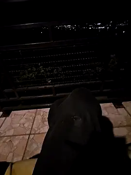 Snapshot of SamoSkupo chatting on October 2025 08:10:01 PM SamoSkupo online show from October 2025 08:10:01 PM