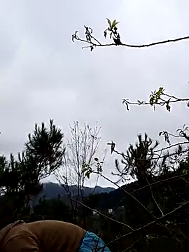 siusiu-00 online show from November 2025 12:54:02 AM