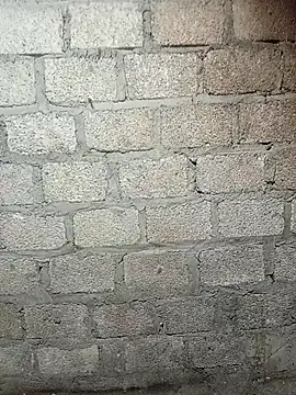 siusiu-00 online show from February 2026 09:16:01 AM