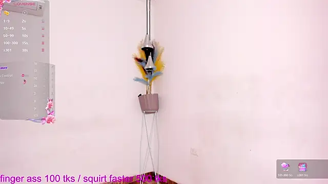 SSWEETSIINNN online show from July 2026 11:44:02 PM