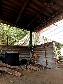 -Kem-01 online show from February 2026 05:17:01 AM