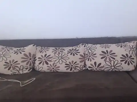 COBRAboySEXxh online show from October 2025 12:42:02 PM