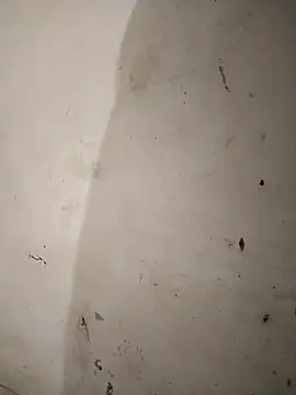 Snapshot of Homa7070 chatting on October 2025 02:17:02 AM Homa7070 online show from October 2025 02:17:02 AM