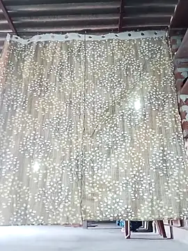 Rajni chauhan online show from November 2025 06:55:01 AM