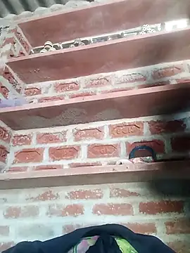 Rajni chauhan online show from March 2026 06:09:01 AM