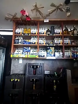 catalella16 online show from March 2026 03:06:01 PM