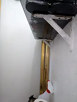 Snapshot of Carlosvelaz561162 chatting on March 2026 07:47:02 AM Carlosvelaz561162 online show from March 2026 07:47:02 AM