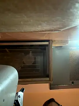 gabriellacali online show from October 2025 11:11:02 AM