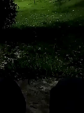 roludao fun online show from November 2025 10:42:02 PM