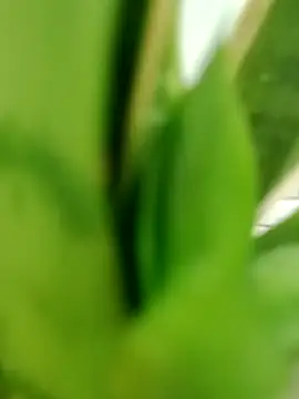 Snapshot of roludao_fun chatting on June 2026 01:21:02 AM roludao fun online show from June 2026 01:21:02 AM