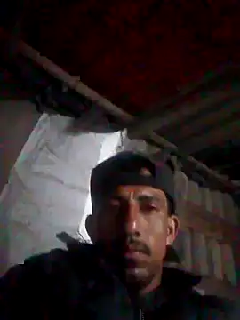 Orlao25cm online show from October 2025 08:04:01 AM