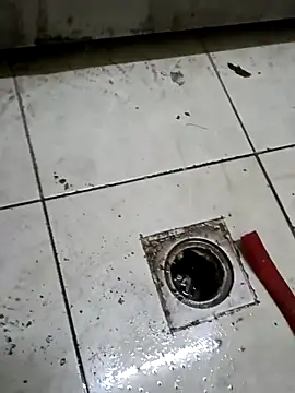 Snapshot of ConvoyedSubgroup chatting on March 2026 08:38:02 PM ConvoyedSubgroup online show from March 2026 08:38:02 PM