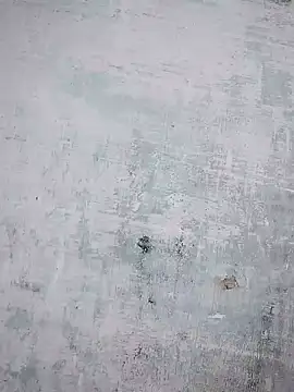 thanuja- online show from October 2025 10:14:02 AM