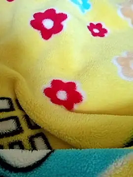 SandyAmr online show from February 2026 07:40:01 AM