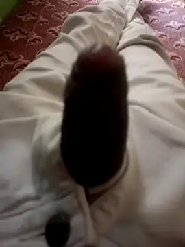 Snapshot of kumarstelugu chatting on December 2025 06:31:01 AM kumarstelugu online show from December 2025 06:31:01 AM