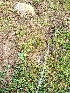 Snapshot of kumarstelugu chatting on January 2026 02:59:01 AM kumarstelugu online show from January 2026 02:59:01 AM