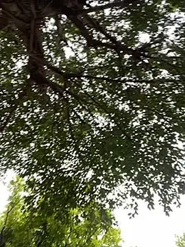 yiyi930316 online show from November 2025 01:52:01 AM