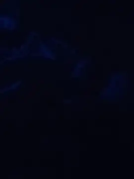 Cedric7653 online show from February 2026 12:44:01 AM