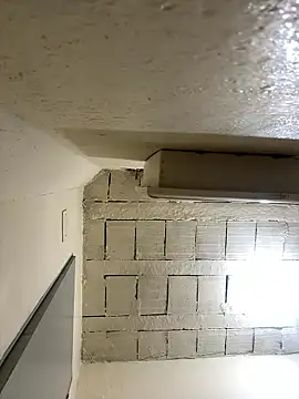 wellingtonmds online show from January 2026 01:53:02 AM