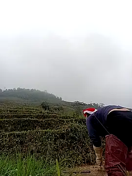 kokoto-59 online show from March 2026 01:33:02 AM