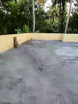 Snapshot of bhujaman chatting on November 2025 01:07:02 AM bhujaman online show from November 2025 01:07:02 AM