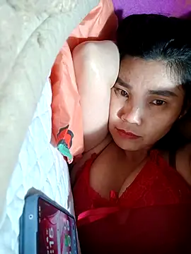 Bear bear0 online show from February 2026 08:52:01 AM