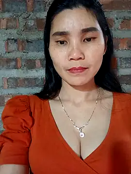 Bear bear0 online show from February 2026 02:41:02 AM