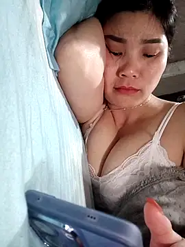 Bear bear0 online show from March 2026 02:07:02 AM