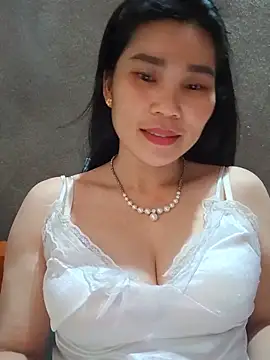Bear bear0 online show from May 2026 02:19:01 AM