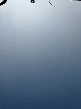 Snapshot of Menu_x chatting on January 2026 08:08:01 AM Menu x online show from January 2026 08:08:01 AM