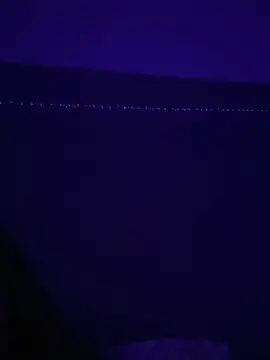 Gia Atkinson online show from October 2025 11:45:02 PM