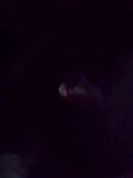 zinzin-xx online show from October 2025 10:56:02 AM