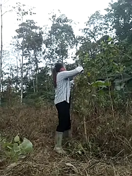 zinzin-xx online show from October 2025 02:37:02 AM