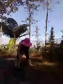 zinzin-xx online show from October 2025 06:50:02 AM