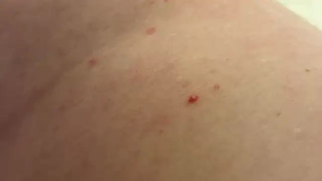 Snapshot of andrenoma427 chatting on January 2026 03:23:01 AM andrenoma427 online show from January 2026 03:23:01 AM