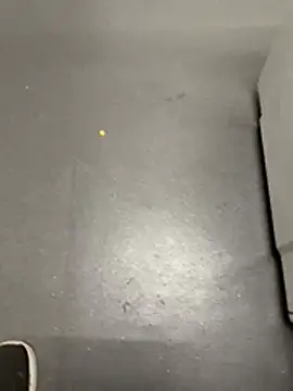 blacksamii2 online show from March 2026 12:32:01 PM