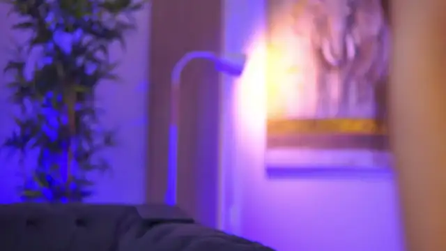 Aisha Bee online show from April 2026 08:45:02 AM