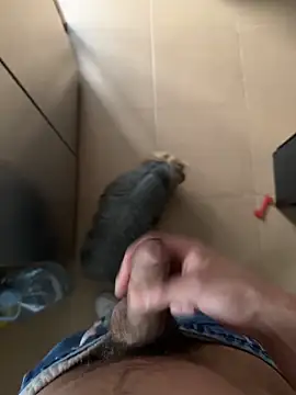 Snapshot of findomhot chatting on February 2026 03:51:01 PM findomhot online show from February 2026 03:51:01 PM