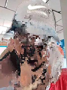 Snapshot of LAPOTRA_04 chatting on April 2026 04:15:01 PM LAPOTRA 04 online show from April 2026 04:15:01 PM