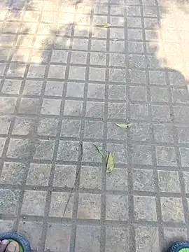 WettedGlimpse online show from December 2025 06:54:02 AM