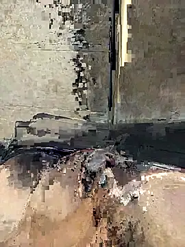 Telugus online show from March 2026 03:51:01 PM