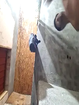 Snapshot of sanz957 chatting on November 2025 03:49:02 AM sanz957 online show from November 2025 03:49:02 AM