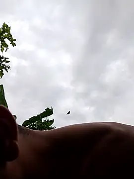 Alex Sweeting online show from January 2026 08:47:01 PM