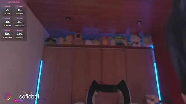 Snapshot of sofi_sc chatting on November 2025 05:44:01 PM sofi sc online show from November 2025 05:44:01 PM